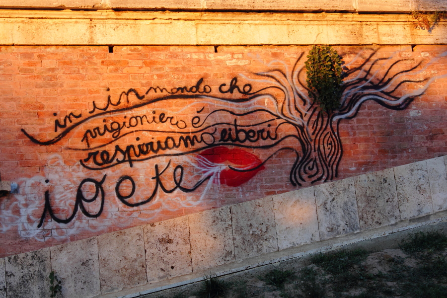 street art [it]sulle mura di Grosseto [en]on Grosseto walls