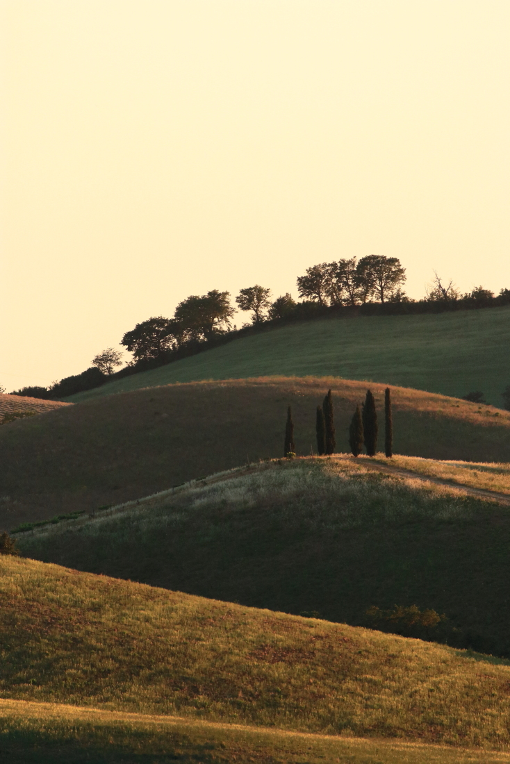 [it]campagna maremmana: ondulazioni al tramonto [en]soft undulations , Maremma's contryside