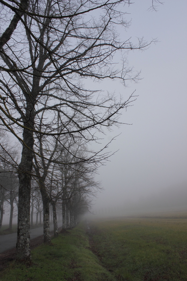 [it] evanescenza nella nebbia [en ]fading into the mist
